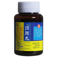 仁和 归脾丸 120克[JS]