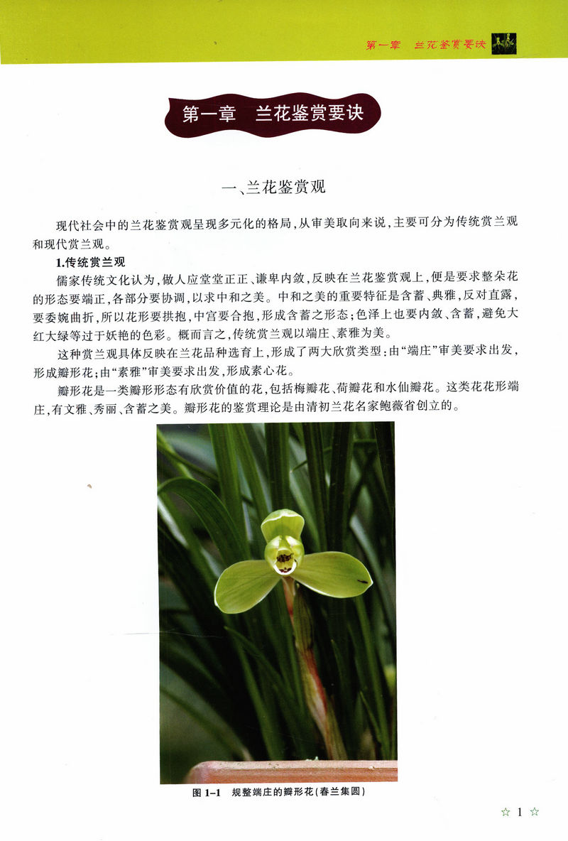 [醉染正版]正版大美兰花名品300种/崔国永教你养殖栽培种植兰花入门到四季养花书籍养兰赏兰一本通新手学养兰技艺一本就高清大图