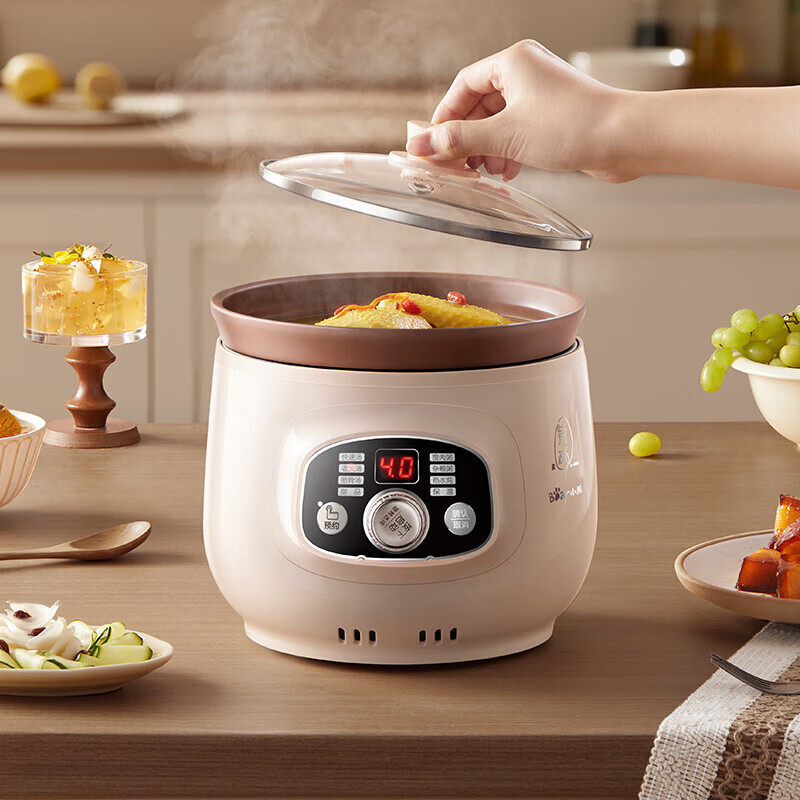 小熊(bear) 紫砂煲电砂锅BB煮粥煲粥电炖锅 DDG-D20T5高清大图