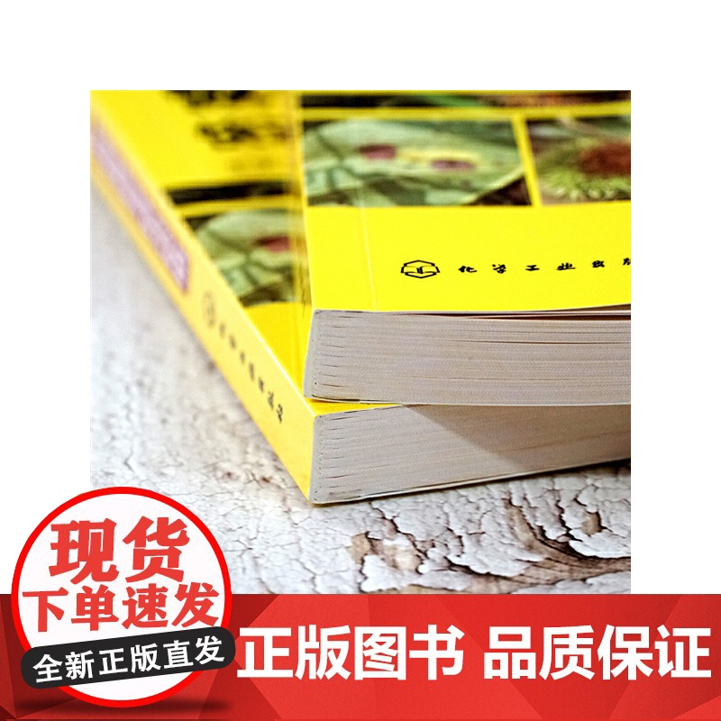 板栗、核桃病虫害快速鉴别与防治妙招 王天元 化学工业出版社 正版书籍高清大图