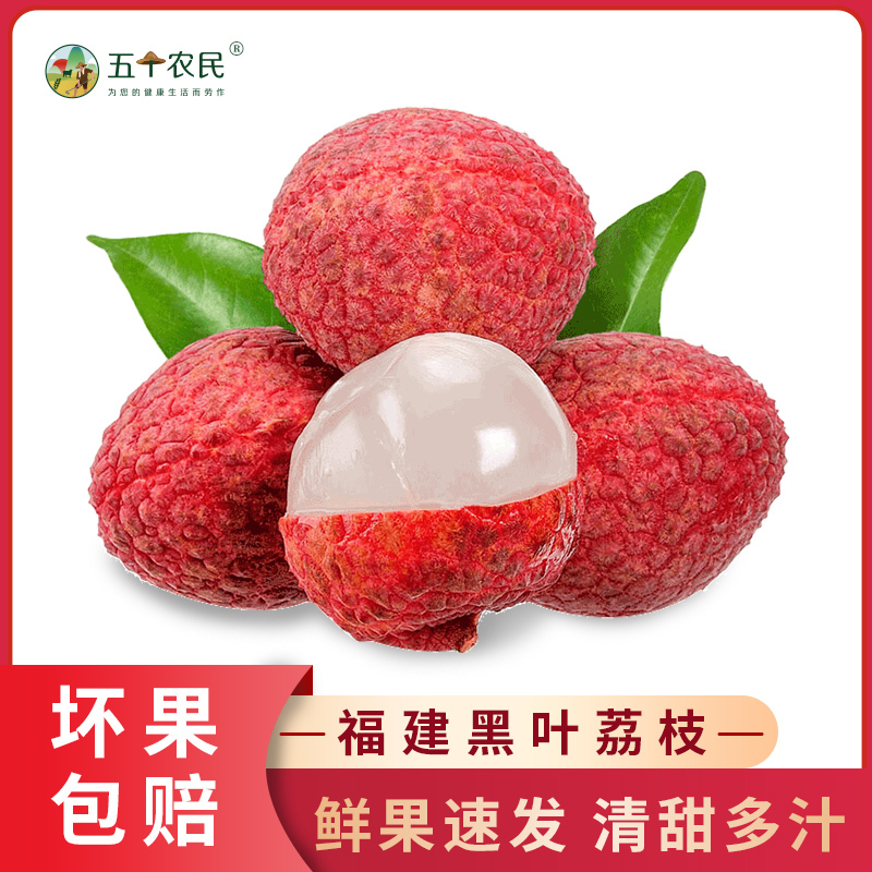 [五个农民]福建黑叶荔枝带箱5斤装应季新鲜水果冷链运输坏果包赔