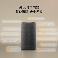 小米(MI)智能音箱Pro 超级小爱智能音箱 AI大模型问答 无线蓝牙音响 语音控制智能家居 APP远程操控音效