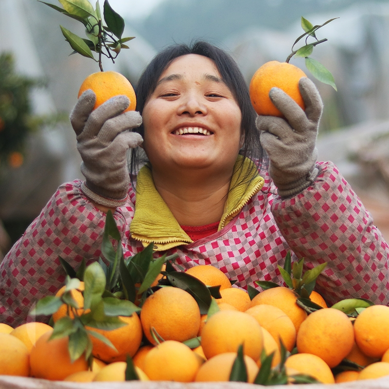 五个农民正宗赣南脐橙5斤大果新鲜水果橙子单果果径7080mm