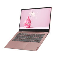 联想(Lenovo)小新14 2019新款 i5-8265U 12GB 1TB+512GB MX230 2G仙女粉 定制 14.0英寸轻薄商务办公家用学习笔记本电脑 潮7000升级