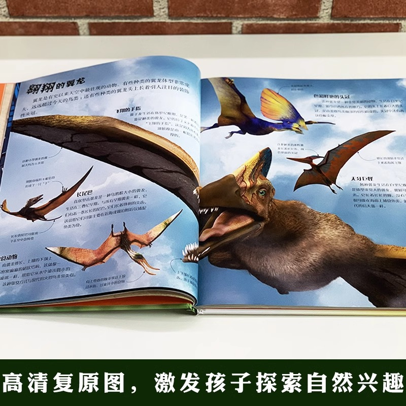 [DK有趣的科学]玩转数与形 [正版]dk儿童恐龙百科全书邢立达译史前动物大全巨兽生物怪兽图鉴各个时期六角霸王翼龙世界特