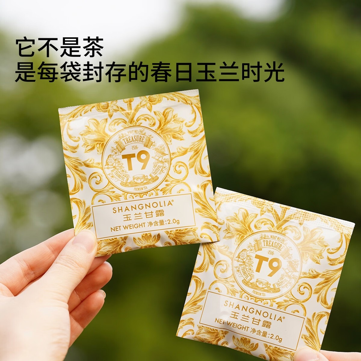T9[现货]玉兰甘露海上花韵礼盒茉莉花茶玉兰兰香袋泡茶冷泡礼物 玉兰甘露晶枕包组合装2g*20包高清大图