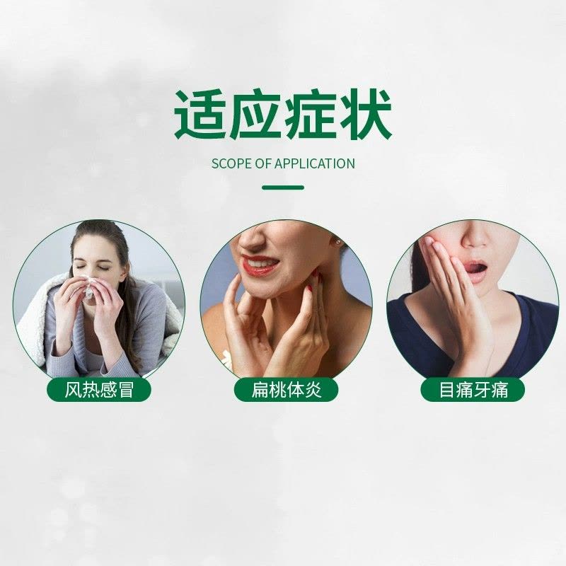 修正 复方金银花颗粒10袋 清热解毒凉血消肿 风热感冒药扁桃体炎咽炎 目痛牙痛及痈肿疮疖成人儿童用药图片