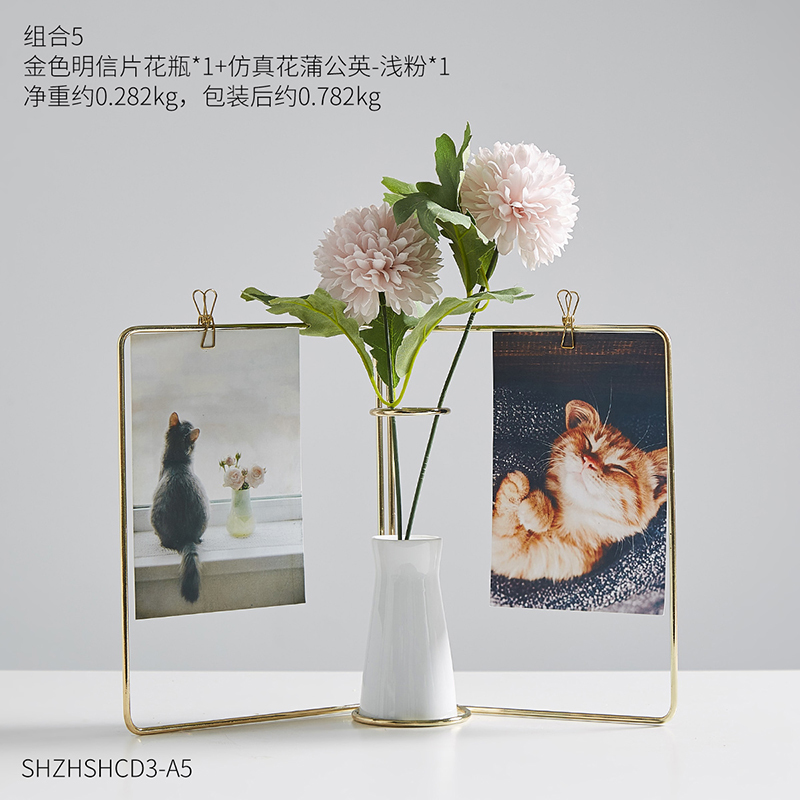 北欧ins现代铁艺相框个性装饰品花瓶干花摆件家居装饰品客厅插花组合5参数配置 规格 性能 功能 苏宁易购