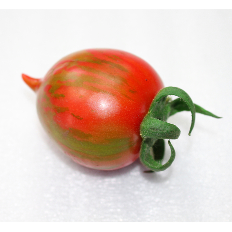 东北皮球柿子农家小园柿子花皮球柿子小番茄一份4斤破损包赔