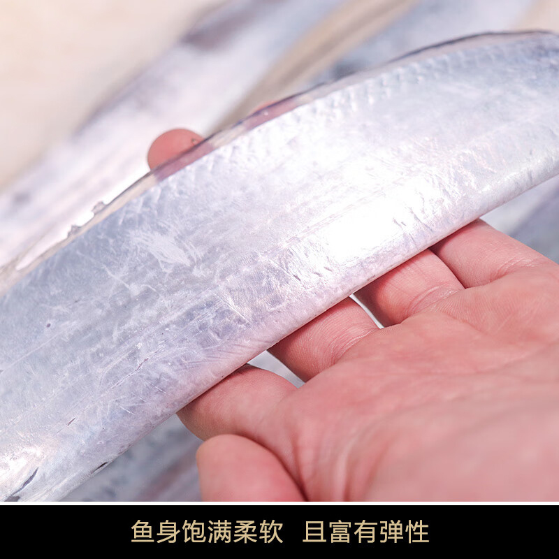 带鱼 袋装500g高清大图