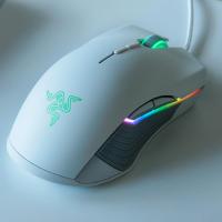 雷蛇(Razer) 锐蝮蛇竞技版 韦神同款 双手通用有线电竞游戏鼠标 绝地求生鼠标 吃鸡鼠标 水银色