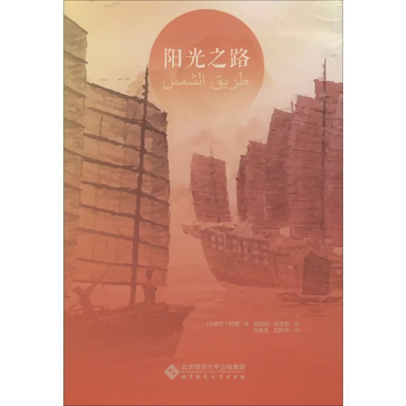 [M]阳光之路-9787303249114高清大图