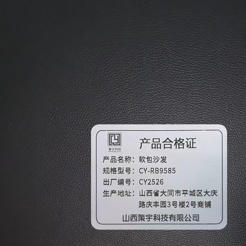 策宇科技(CYKJ) 软包沙发 CY-RB9585 张高清大图