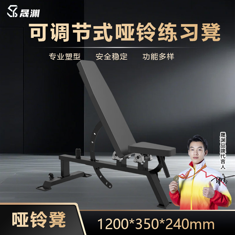 晟渊专业哑铃凳商用多功能健身椅家用可调节卧推凳 YZTJ49