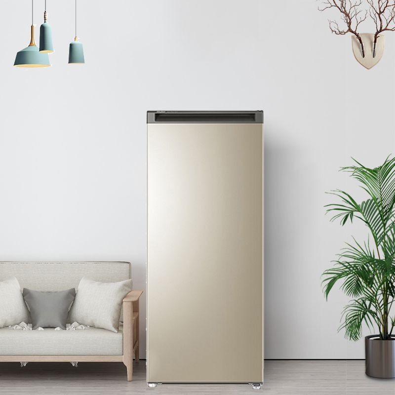 海尔(haier)bd-193mdt 立式冷柜冰柜193升分区大抽屉防串味家用母婴一