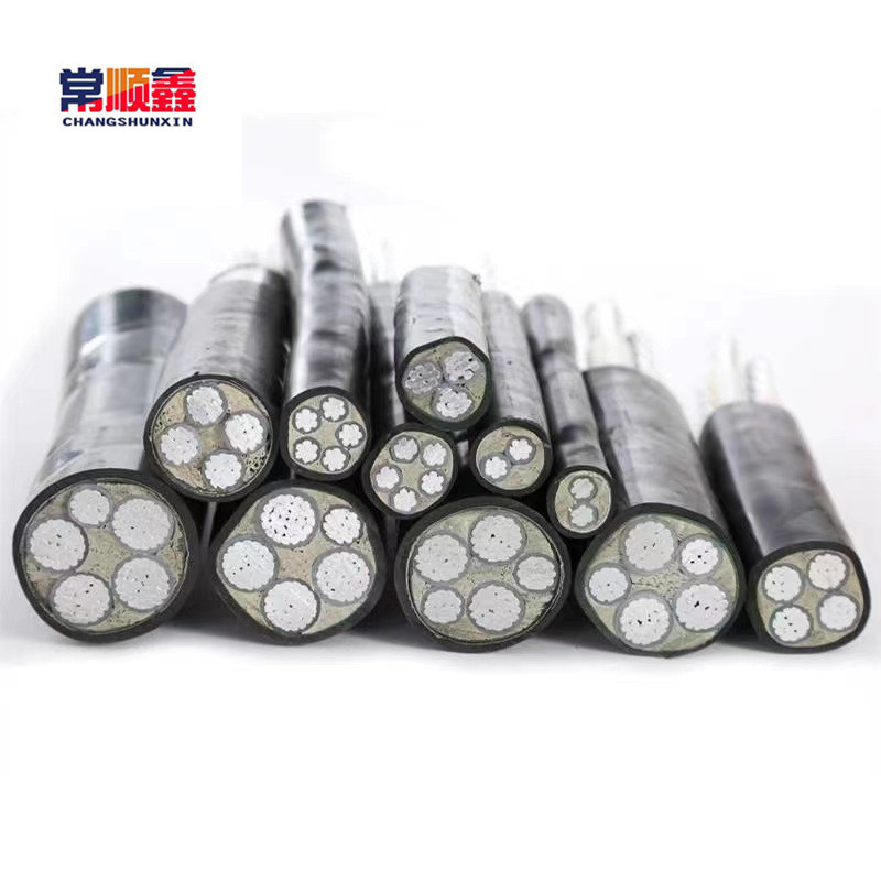常顺鑫 低压铝芯电缆ZC-YJLV22 3×10+1×6 米