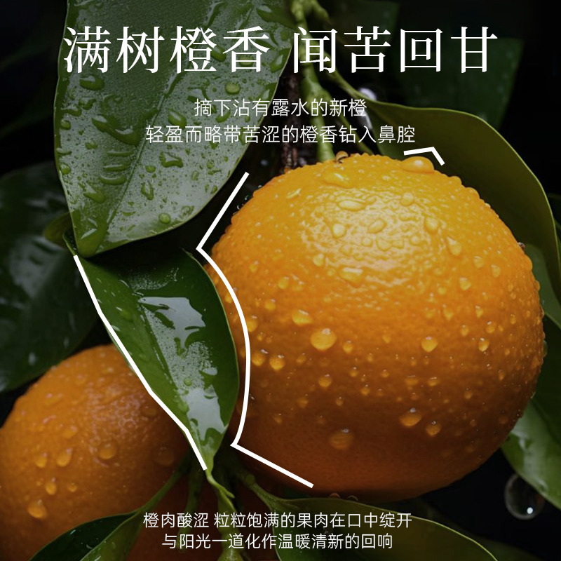 真不二苦橙眼罩高清大图