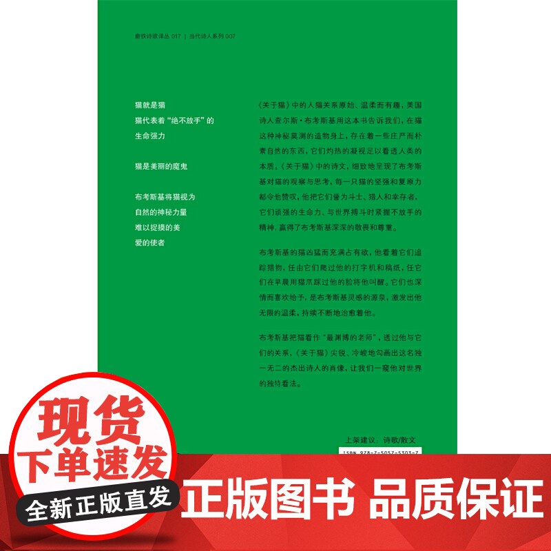 关于猫高清大图