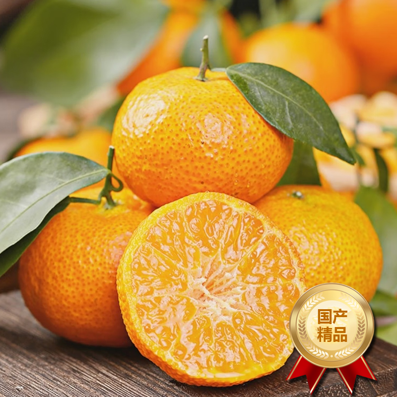 [熊猫鸟]广西砂糖橘新鲜水果 净重3斤 小果 单果25mm左右 当季整箱手撕沙糖桔柑橘子金秋现摘纯甜