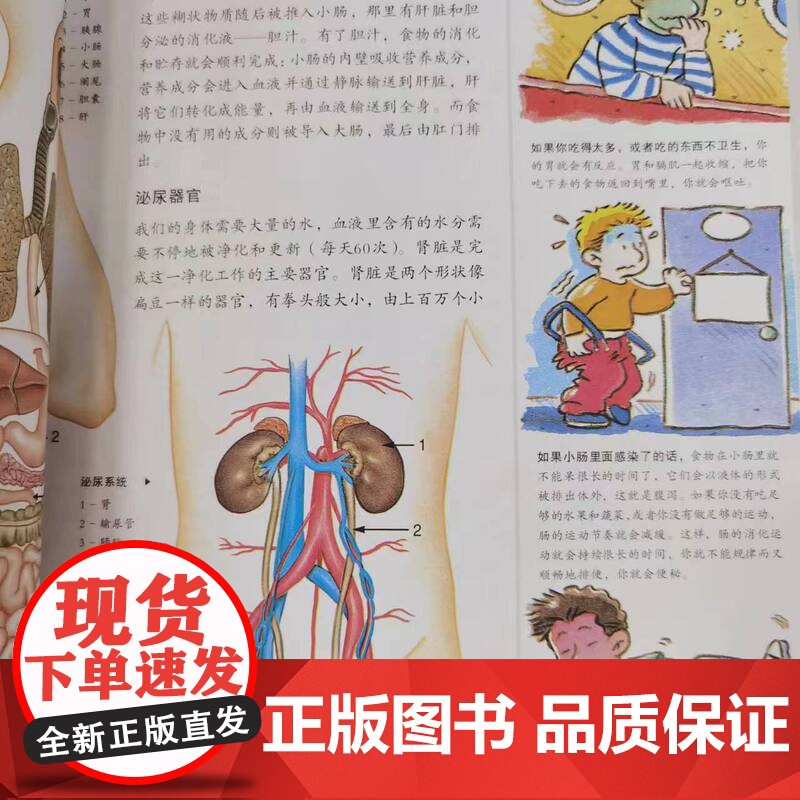 新概念儿童科学馆 自然课 法国弗勒鲁斯出版社权威儿童百科 16种外文译本 20余国 北京科学技术高清大图