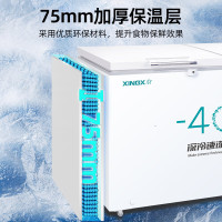 星星BD/BC-408GS 408升深低温冰柜-40℃商用大容量速冻水饺卧式冷冻柜家用鱼肉丸鲜肉冰箱雪柜全冷冻冷藏可转换