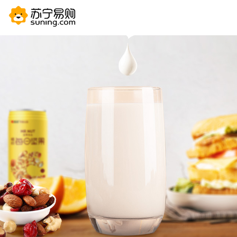 坚果饮料 饮品坚果先生坚果乳植物蛋白饮料240ml*12罐(新老包装) SZ