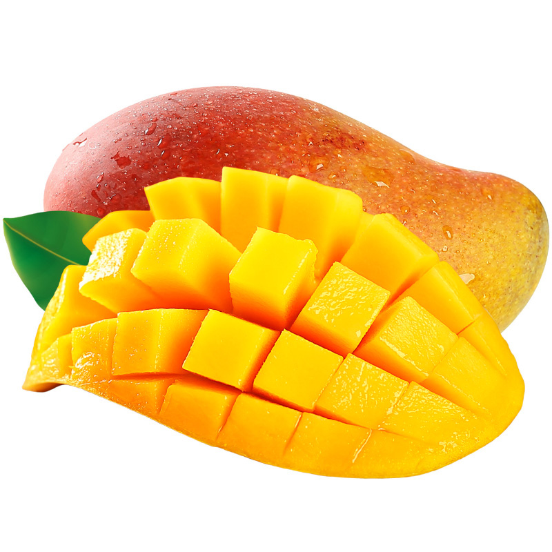 【大金龙芒果】报价行情_排行_品牌_参数_怎么样_图片_商家-苏宁易购