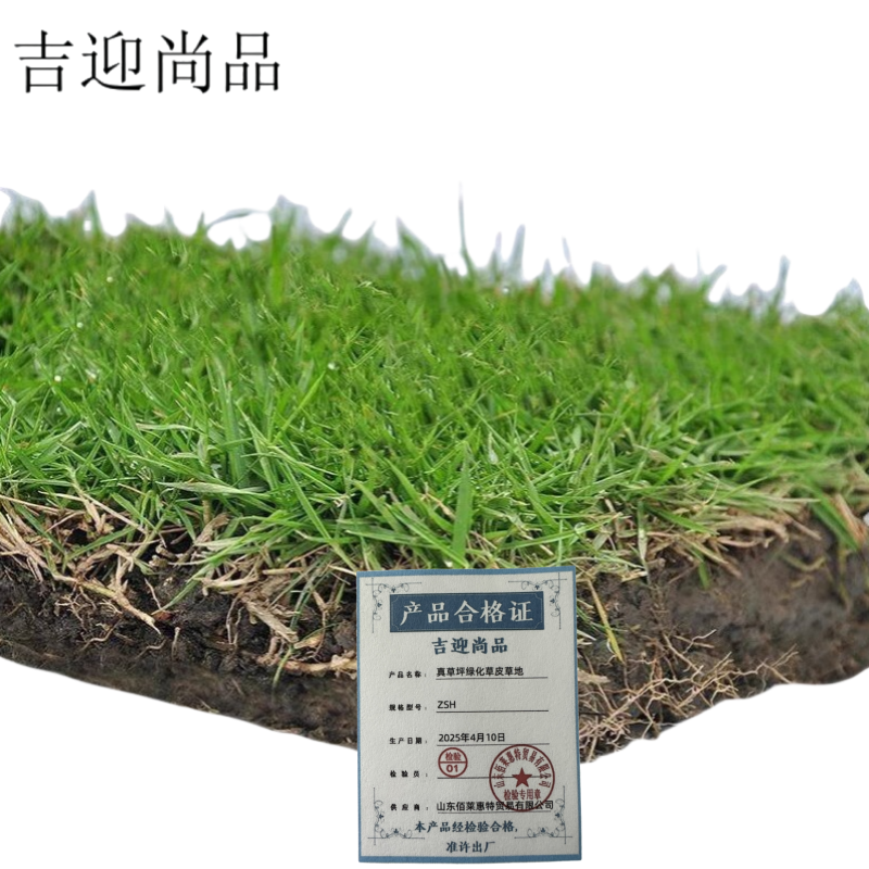 吉迎尚品 真草坪绿化草皮草地 ZSH 平方米 ZSH