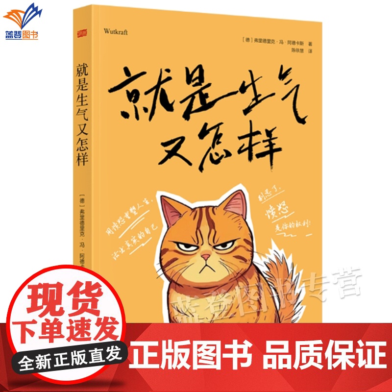 就是生气又怎样弗里德里克冯阿德卡斯正版心理励志心灵疗愈用愤怒重塑人生活出真实的自己成功励志情商情绪管理心理学东方出版高清大图