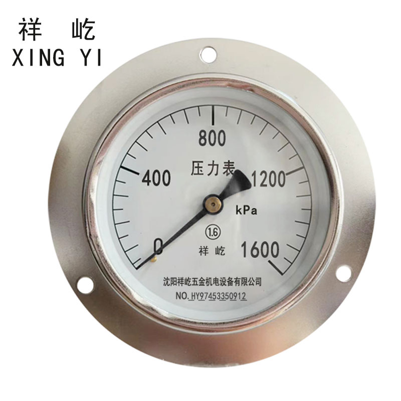 祥屹 压力表轴向带边检测定制型 Y100ZT 块 0-1600Kpa