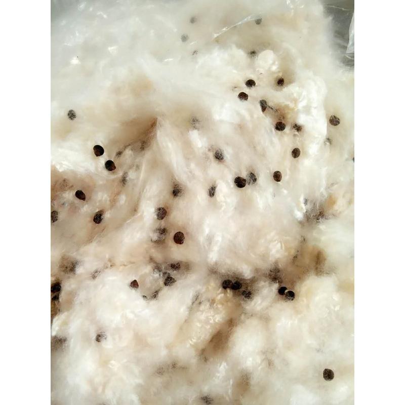 优质天然带籽木棉花枕头 有籽木棉枕芯料 散装含子有子木棉(请先与