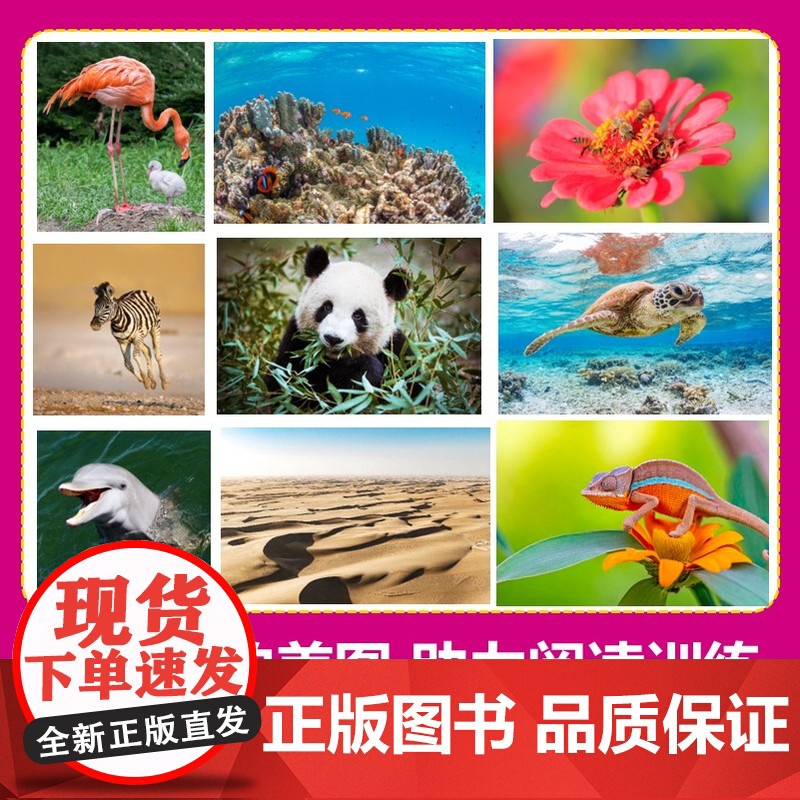 美国国家地理英语分级读物同步练第3级 儿童英语分级阅读第三级ket单词训练营英语词汇语法通用小学课外书籍高清大图