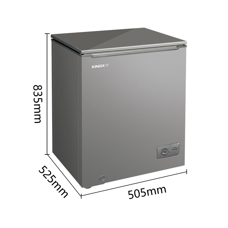 星星(XINGX)BC/BD-100KV商用家用小型两用柜单温冷藏冷冻转换一级能效高效减霜80%