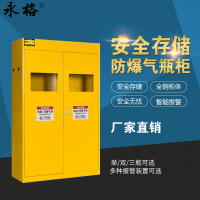 永格实验室工业防火防爆柜危化品化学品储存柜毒麻柜全钢气瓶柜三瓶