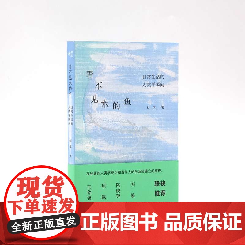 看不见水的鱼:日常生活的人类学瞬间 刘琪著 一本巧妙展现人类学思维的讲故事的书 文化人类学 王铭铭/项飙/陈映芳/刘擎联高清大图