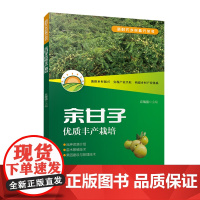 余甘子优质丰产栽培 丘瑞强主编 新时代乡村振兴丛书 栽培技术书 广东科技出版社正版