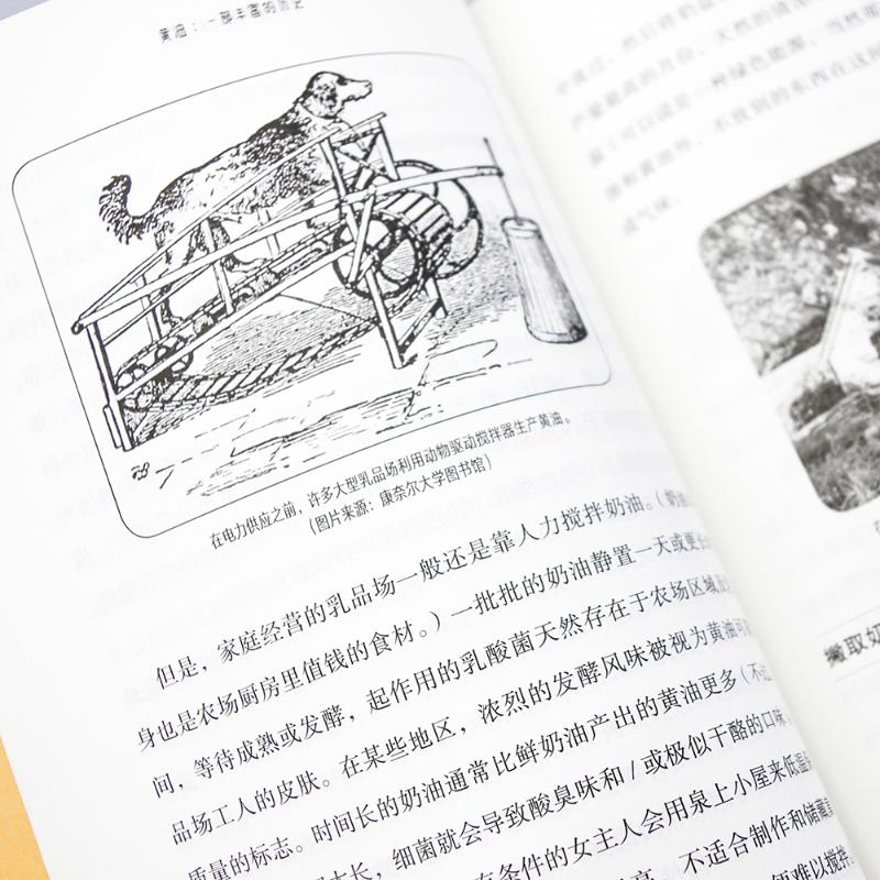 醉染图书黄油:一部丰富的历史9787514227659高清大图