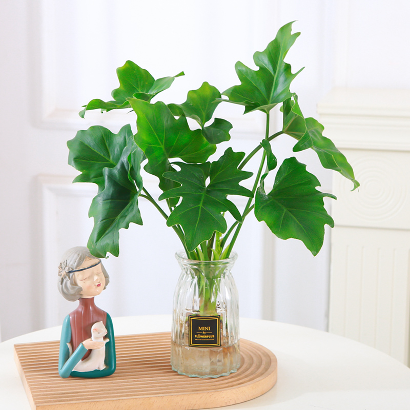 [补贴10%]水培植物春羽盆栽蔓绿绒室内龟背竹春雨绿植常青绿萝好养办公桌面高清大图