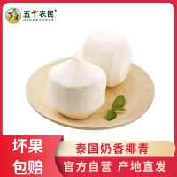 [五个农民]泰国奶香椰青 2个装 单果600-800g 新鲜椰子送开椰器