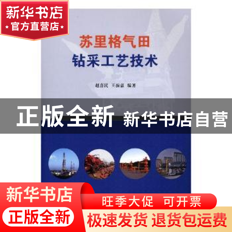 正版 苏里格气田钻采工艺技术 赵喜民,王振嘉 著 石油工业出版社高清大图