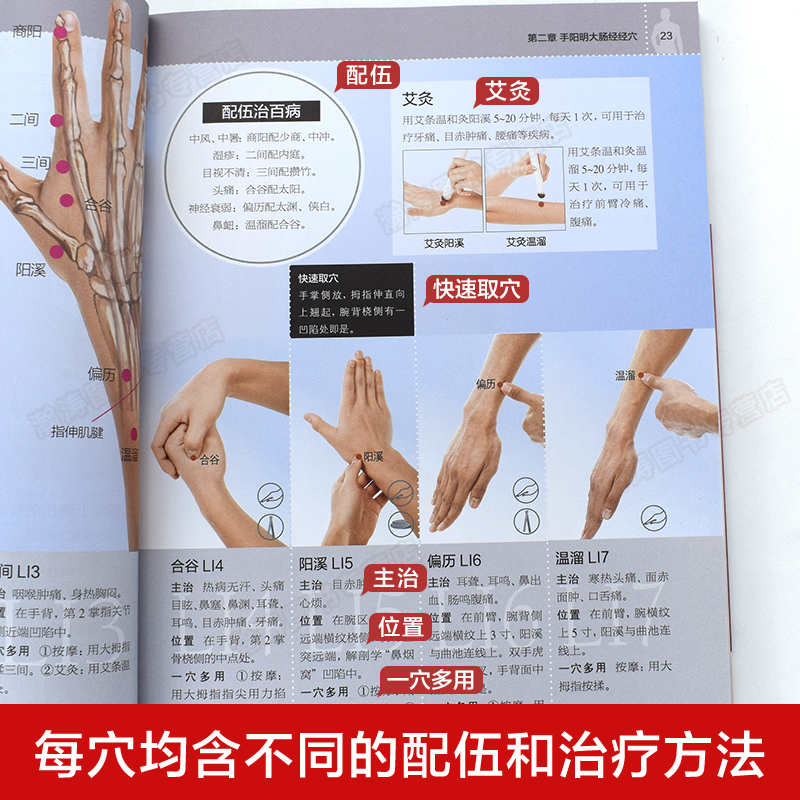 [正版]完整版人体经络穴位图解书籍图册 中医经络图解养生书籍 中医经络穴位按摩大全书籍使用手册 十二经络书 艾灸刮痧穴高清大图
