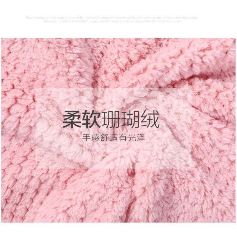 【5条装】可挂式珊瑚绒加厚擦手巾毛巾 菠萝纹双面吸水抹布清洁洗碗布