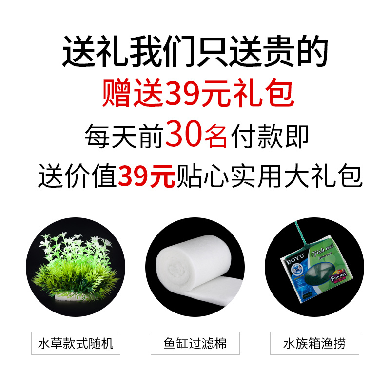 鱼缸水族箱小型迷你桌面生态造景观赏鱼免换水金鱼缸家用客厅高清大图