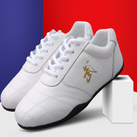 太极鞋 练功鞋运动鞋 武术鞋(白色)