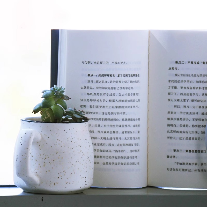 [正版]极简学习法+费曼学习法全2册 考试高分的秘密上百位清北学霸学习方法大公开 直击学习本质 有效刷题 刻意练习成就学高清大图