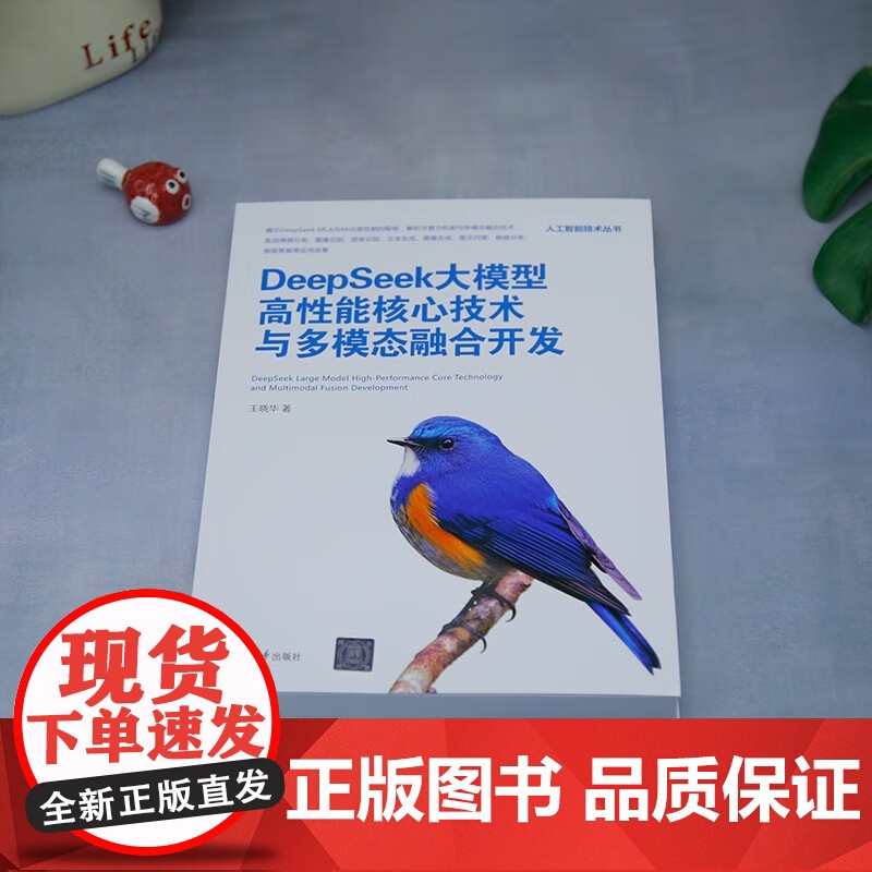 DeepSeek大模型高性能核心技术与多模态融合开发 王晓华 著 计算机与互联网高清大图