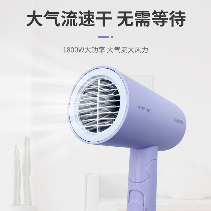飞科(FLYCO) 电吹风FH6277/FH6276 两种颜色高清大图