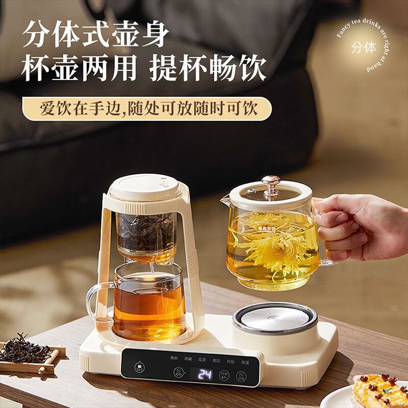 艾贝丽双杯养生壶ABL-YSH624 1升不锈钢立体加热375W国产温控器健康煮饮高清大图