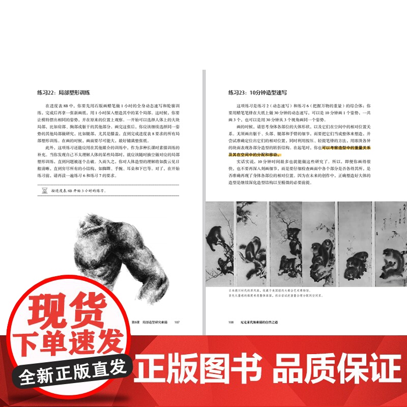 尼科莱代斯素描的自然之道 绘画 素描 尼克莱代斯素描绘画技法 北京科学技术高清大图