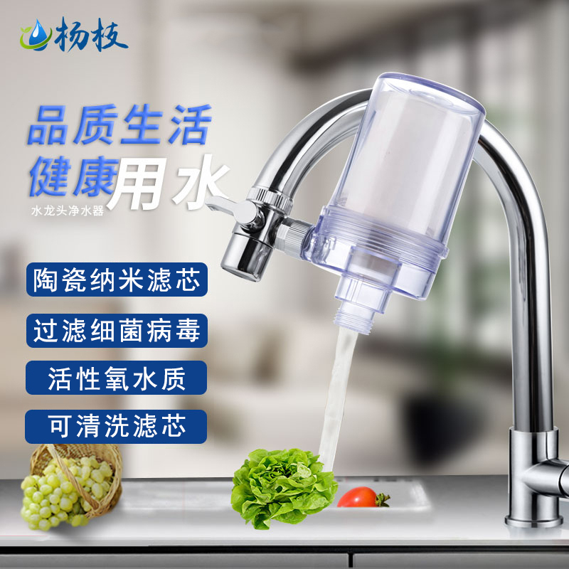 杨枝净水器陶瓷纳米滤芯厨房水龙头滤水器家用直饮自来水过滤器一机二滤透明白